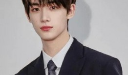 独家爆料丁程鑫视频播放,丁程鑫神秘视频幕后故事，播放量惊人引热议